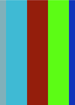 rhoncus erat odio blandit tellus